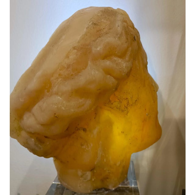 A masterpiece of elegance and light Created in the early decades of the twentieth century, this French academic wax...