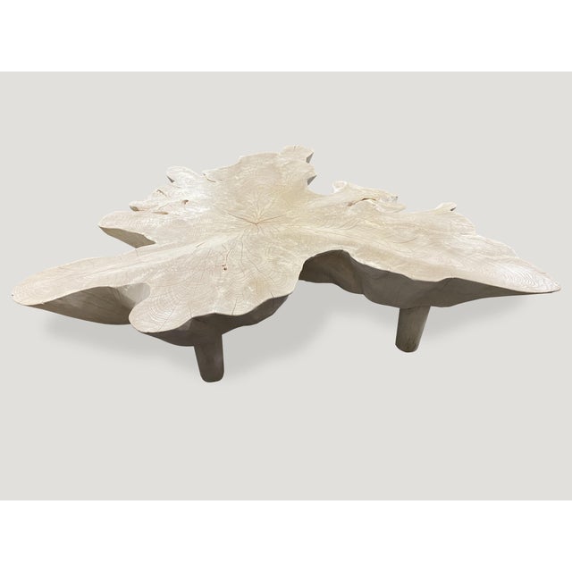 Andrianna Shamaris Amorphous Mid Century Style Bleached Teak Wood Coffee Table For Sale - Image 4 of 6