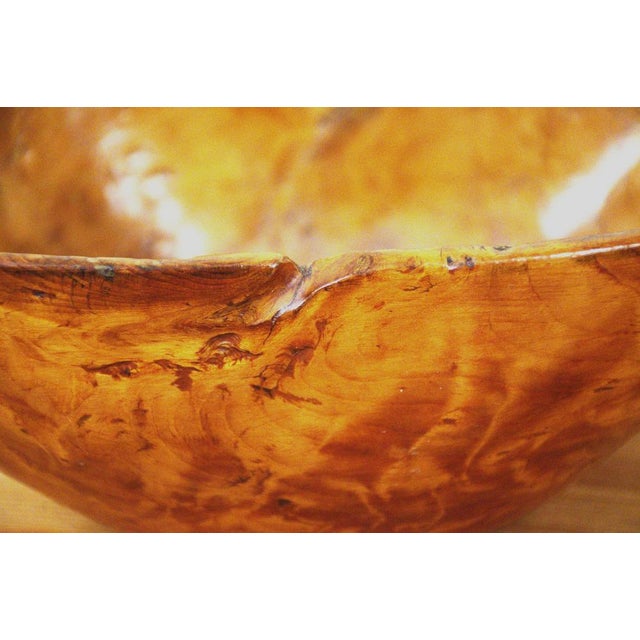 Swedish Birch Burl Bowl, 1876 For Sale - Image 11 of 14
