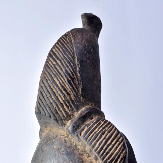 Early 20th Century Yaure Baule Portrait Mask Côte d'Ivoire For Sale - Image 13 of 13