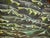 Mid-Century Modern Abstract Lisa Bradshaw 1977 Sci-Fi Modern Umbrella TreesCape Wit Giant Aloe For Sale - Image 3 of 7