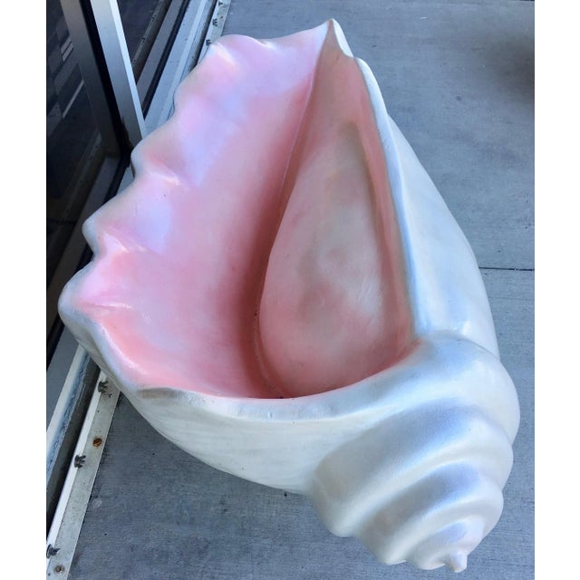 XL Fiberglass Seashell For Sale - Image 9 of 11