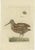 Sepp & Nozeman, Bird Illustration of the Eurasian Woodcock, 1797, Print For Sale - Image 10 of 10