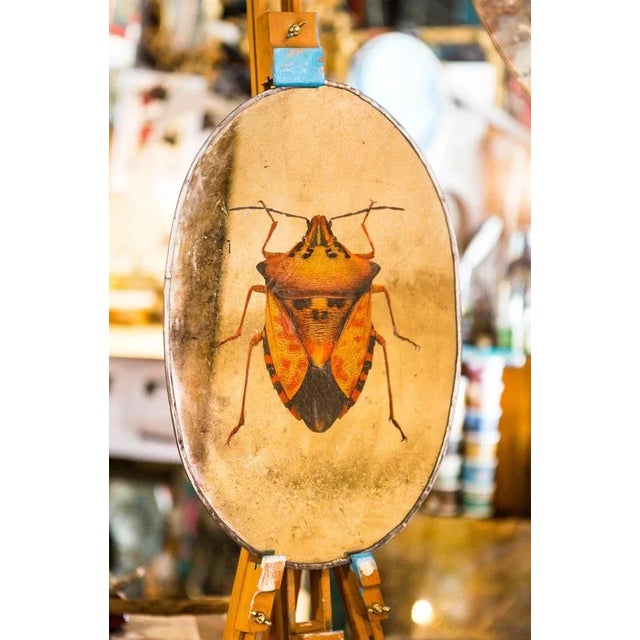 Prodigy of natural engineering, the insects reproduced here on a large scale, show us through the magnifying glass of the...
