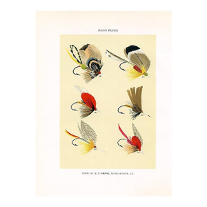 Vintage Bass Fishing Flies Print by Charles Orvis, Original Vintage Fishing Print, Lithograph