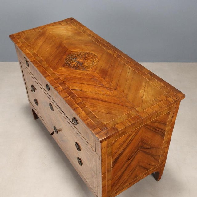 Brown Neoclassical Walnut Chest of Drawers For Sale - Image 8 of 12