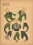 Inspirations D’Avant-Saison - Booklet With 38 Original French Haute Couture Fashion Prints – C. 1938 For Sale In Miami - Image 6 of 11