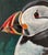 “Puffin” Original, Acrylic Sea Bird Painting by Linda McDonough For Sale - Image 4 of 8