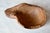 A piece of antique Provençal craftsmanship, this fruit bowl, hand-carved from a single block of solid wood, reflects the...