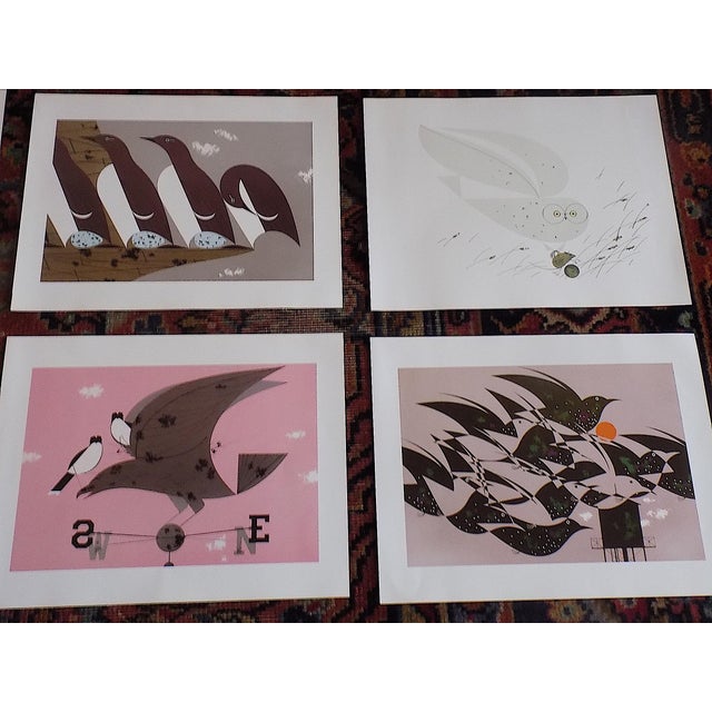 2000 - 2009 Vintage Charley Harper Modernist Abstracted Bird Lithographs (7.6" X 6.3") - Set of 9 For Sale - Image 5 of 10