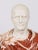 Vintage Portrait Bust of Roman Emperor Otho, 20th Century, Carrara Marble For Sale - Image 5 of 15