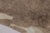 Rug & Kilim Rug & Kilim’s Large Cowhide Rug in Sheen Beige and Brown Tones For Sale - Image 4 of 9