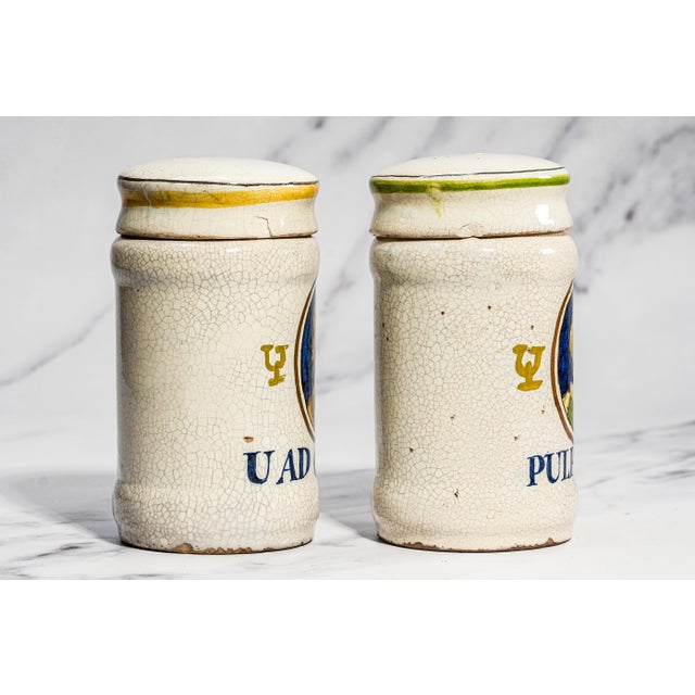Rare Pair Italian 19th Century Hand Painted Ceramic Antique Apothecary Lidded Jars Portrait Profiles For Sale - Image 10 of 18