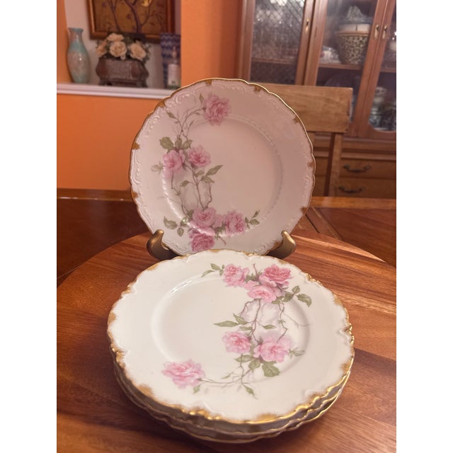 Beige 1930s Luncheon Plate Schleiger 1151 by Haviland a Set of 4 For Sale - Image 8 of 11