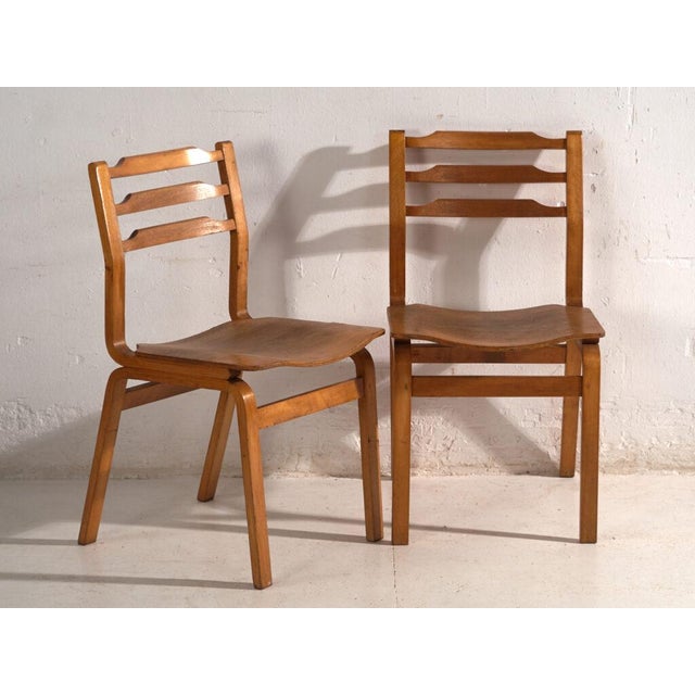 Chairs in Beech and Moulded Plywood, Central Europe, 1960, Set of 3 For Sale - Image 6 of 12