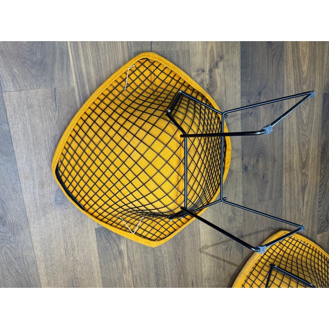 Vintage Harry Bertoia for Knoll Diamond Chairs in Original Mustard Upholstery — Pair For Sale - Image 10 of 15