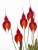 Large Orchid Giclee Prints Hand-Retouched by Angela Mirro - Set of Three Framed Prints - For Sale - Image 9 of 18