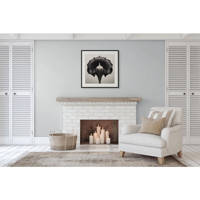 Contemporary 18' X 18' 'Dipsacus Laciniatus' #1 - Black and White Limited Edition Botanical Photography Print, Unframed For Sale - Image 3 of 4