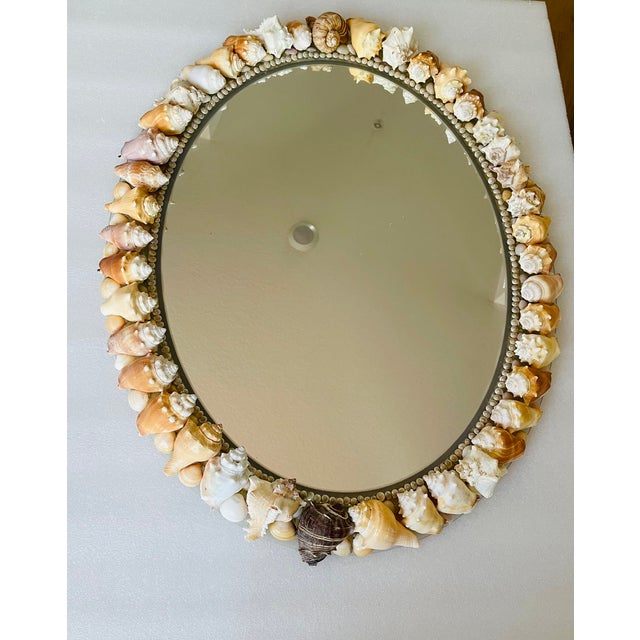 Elegant Florida sea conch shells encrusted oval mirror.
