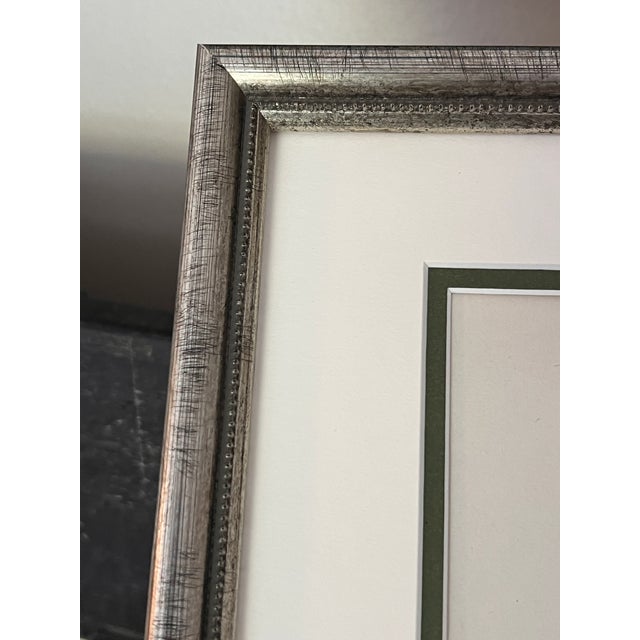 Illustration Framed Vintage Botanicals Set of 2 -Authentic 1963 Prints For Sale - Image 3 of 6