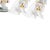 Porcelain Cat with Basket Toothpick Holders from Vista Alegre, Set of 5 For Sale - Image 5 of 6