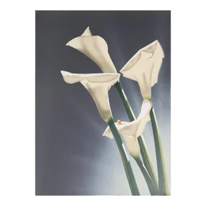 White Calla Lilies 3, Jochen Labriola