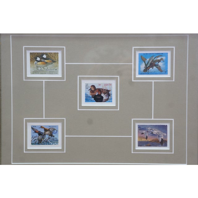 1980s 1980s Ducks Unlimited Indiana Migratory Wildlife Waterfowl Ducks Signed Stamps 18" For Sale - Image 5 of 12