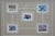 1980s 1980s Ducks Unlimited Indiana Migratory Wildlife Waterfowl Ducks Signed Stamps 18" For Sale - Image 5 of 12