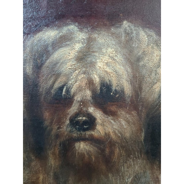 Moody Antique Oil Painting Portrait of a Norfolk Terrier Dog For Sale - Image 4 of 18