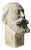 Classic Statue Head, 20th Century, Plaster For Sale