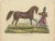 Antique print titled 'The Persian Horse'. Old hand-colored print of a Persian horse. This print originates from 'Complete...