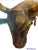 Unique, beautifully hand-crafted Brass Bull Sculpture, with gorgeous gold and black hand carving, a rare detailed folk...