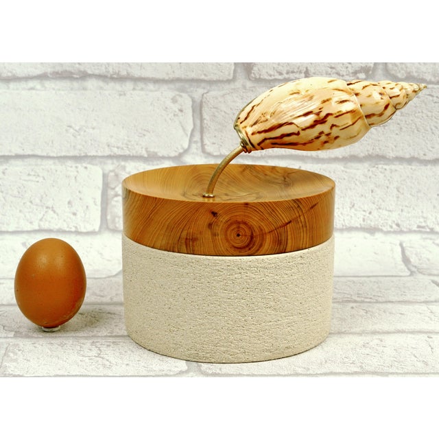 Brown “Hydro” Contemporary Sculpture by Isabelle Fustinoni (French Artist) – Natural Shell & Mixed Media For Sale - Image 8 of 8
