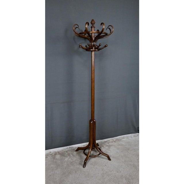 Early 20th Century Parrot Coat Rack in Beechwood, 1890s For Sale - Image 13 of 18
