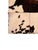 Cowhide Ponyhair Ottoman from Natuzzi, Italy, 1970 For Sale - Image 4 of 7