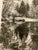 Late 20th Century Robert "Bob" Werling Black & White Photograph Merced River Yosemite Valley California, Student of Ansel Adams For Sale - Image 9 of 12
