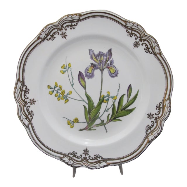 Spode Stafford Flowers Iris & Sphaerolobium Gilt Bone China Dinner Plate For Sale