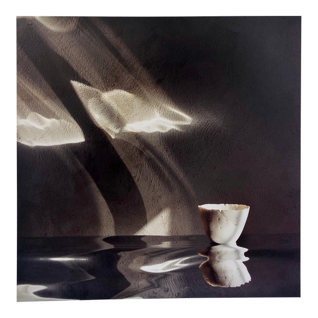 Peter C. Jones 1, Snipes Vessel, Ceramic Large Format Photo 24X20 Color Photograph Beach House, 2004 For Sale