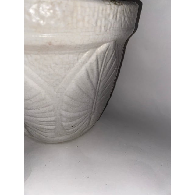 19th Century Red Wing Pottery Planter Antique Red Wing Elephant Ear Planter. For Sale - Image 11 of 12