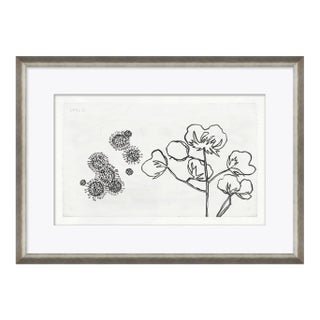 Strawflower by Susan Hable For Sale