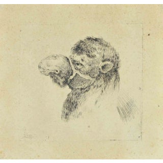 Stefano Della Bella, Head of Camel, Etching, 17th Century For Sale