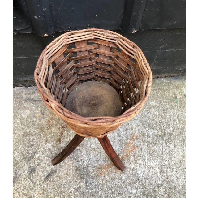 RopeWrapped 3Leg Basket Plant Stand Chairish