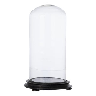 Crystal Glass Dome, 19th Century For Sale