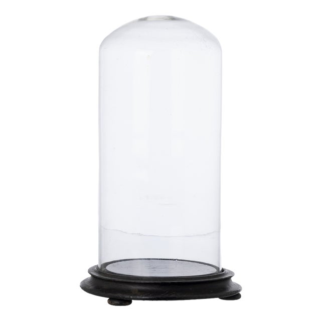 Crystal Glass Dome, 19th Century For Sale