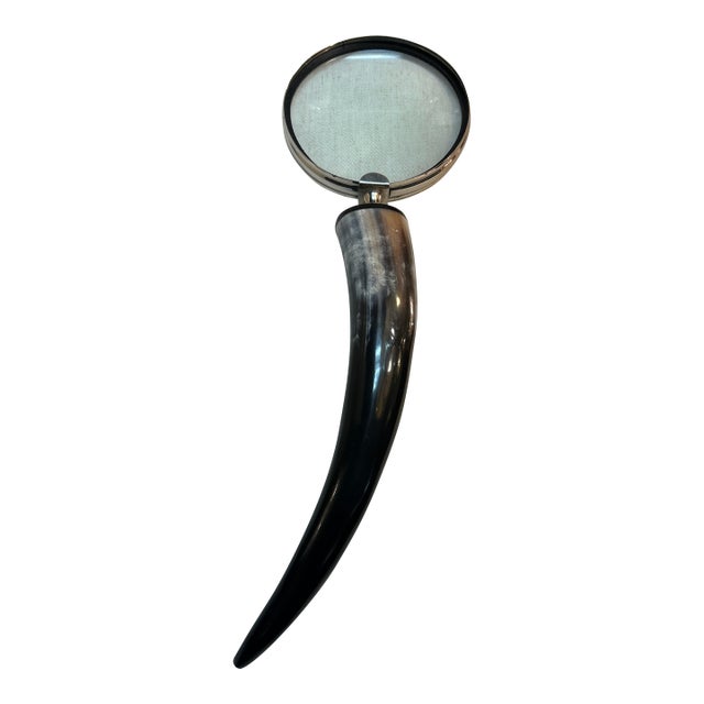 Horn Handle and Metal Magnifying Glass For Sale