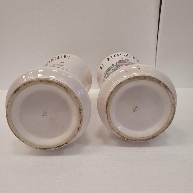 19th Century Albarelos, Strasburg Luneville Porcelain, France For Sale - Image 10 of 12