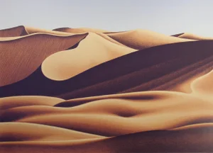 Realist Scott Nellis "Dunes #1" Signed Numbered Art Serigraph Desert Landscape