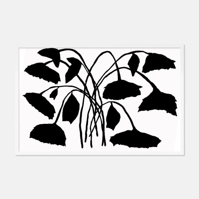 Kate Roebuck Sunflower by Kate Roebuck in White Framed Paper, Medium Art Print For Sale - Image 4 of 4