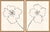 Hable Line Drawing by Susan Hable For Sale - Image 4 of 4