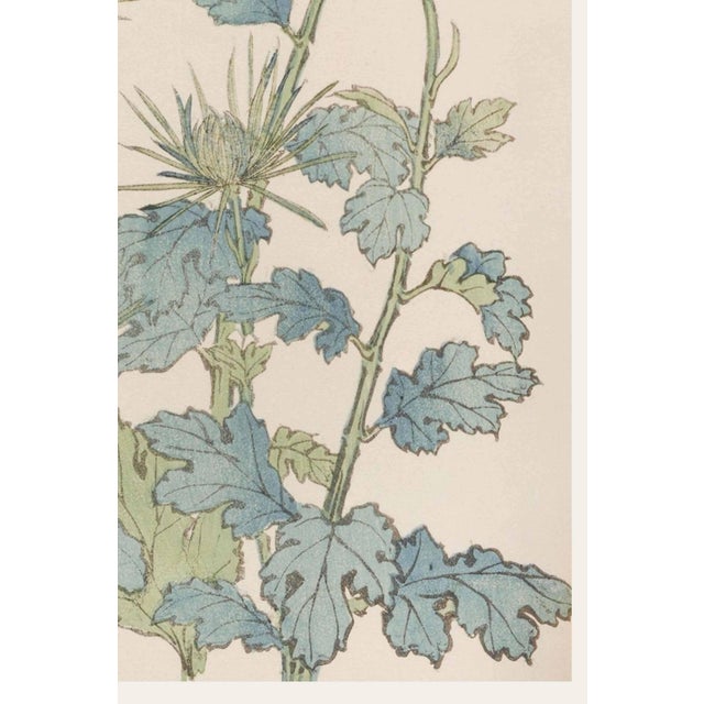 Not Yet Made - Made To Order Two Wildflowers by Hasegawa, Vintage Japanese Botanical Art Print, 36" X 54" For Sale - Image 5 of 10